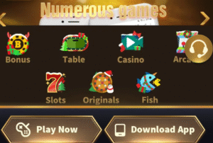 Nova Patti Game