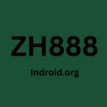 ZH888 Game